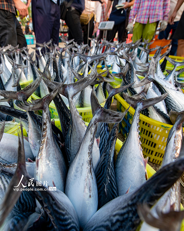 ?????????? ??????: ???? ??? ????? ????? ?????