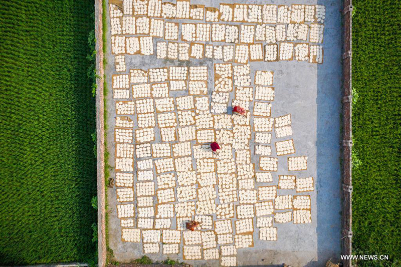 ????? ????? ????? ????? ?? ????????