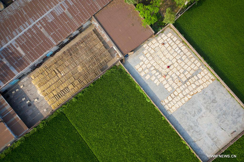 ????? ????? ????? ????? ?? ????????