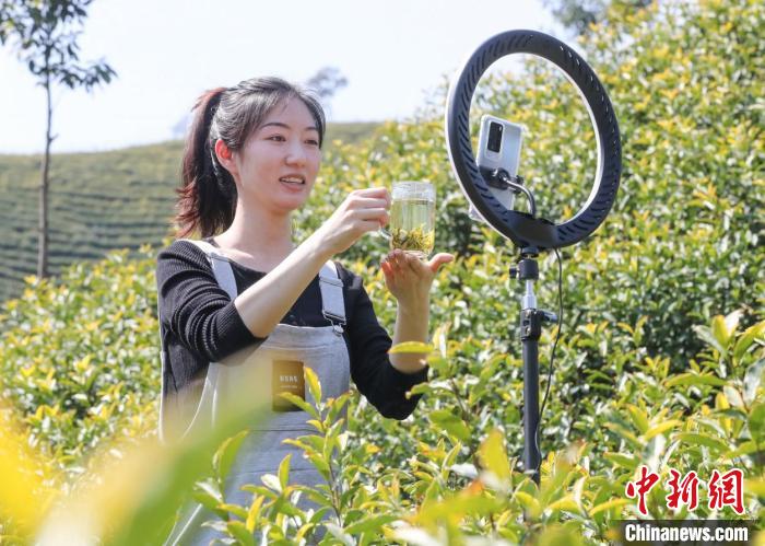 ???? ????: ?????? ???????? ??????? ???? ????? ?????? ????