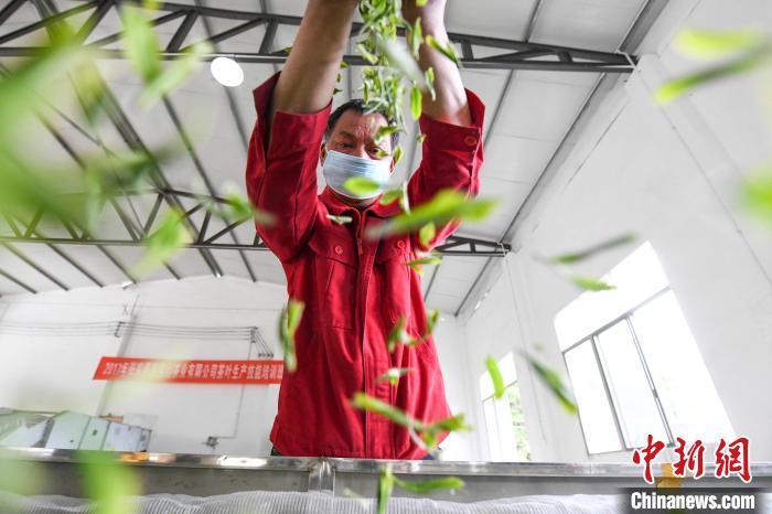 ?????? ???? ??? ????? ?????? ??????? ?????