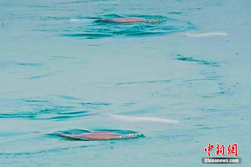 ??? ?????? ????? ???? ???? ????????? ?????