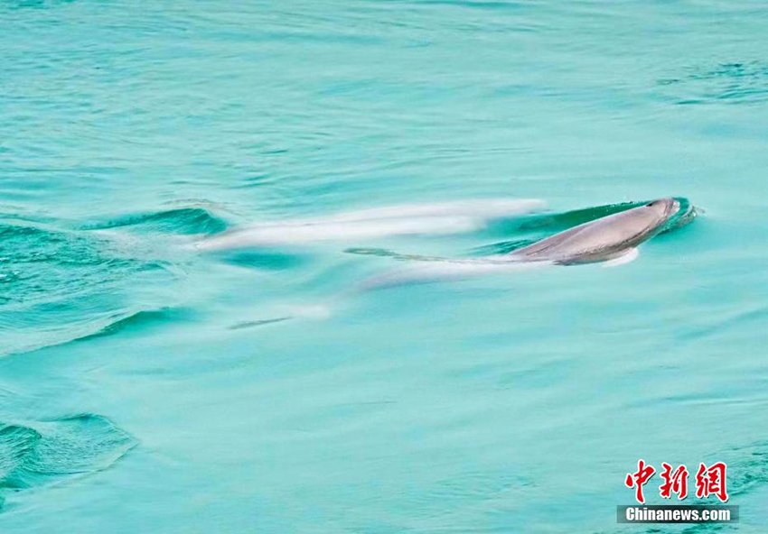 ??? ?????? ????? ???? ???? ????????? ?????