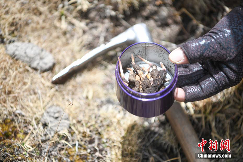 ??? ???? ??? ??? ??????? ?? ?????