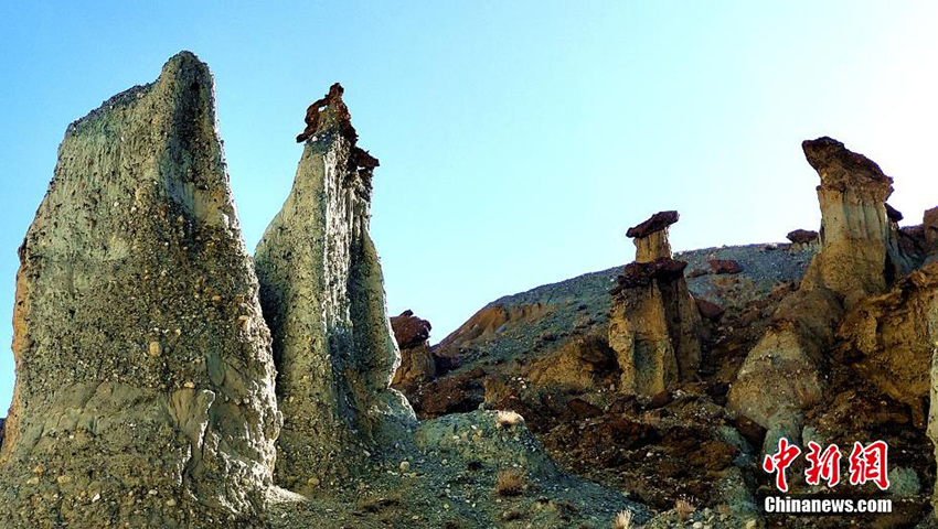 ???? ?? ??????? ???????? ?????? ??????? ???????? ?? ???? ???? ??????