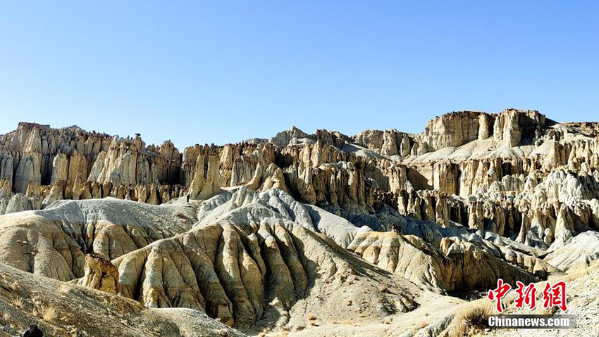 ???? ?? ??????? ???????? ?????? ??????? ???????? ?? ???? ???? ??????