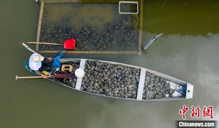 ?????? ???? ????? ??? ????? ??????? ?? ???????