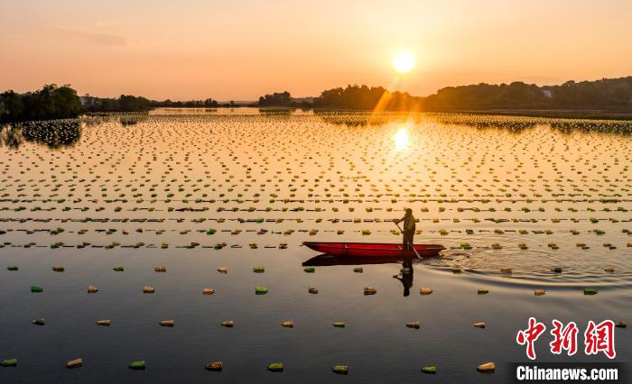 ?????? ???? ????? ??? ????? ??????? ?? ???????