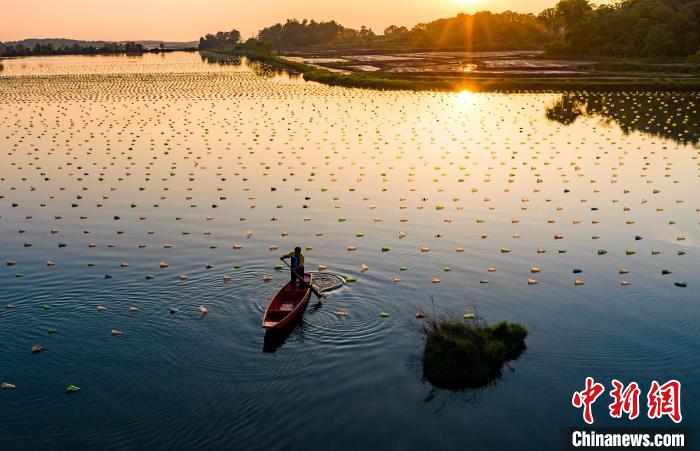 ?????? ???? ????? ??? ????? ??????? ?? ???????