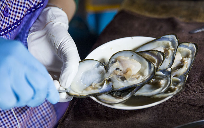 ?????? ???? ????? ??? ????? ??????? ?? ???????