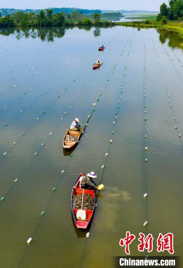 ?????? ???? ????? ??? ????? ??????? ?? ???????