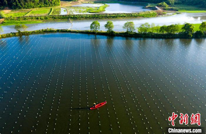 ?????? ???? ????? ??? ????? ??????? ?? ???????