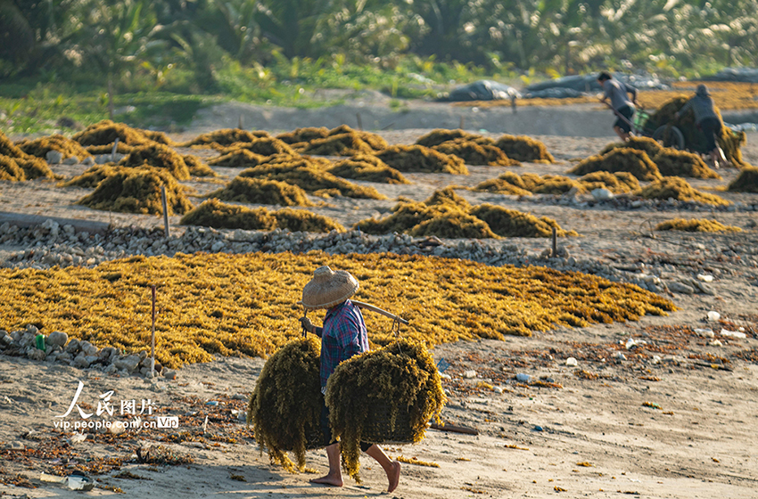 ????? ????????? ?????? ??????? ????????? ??? ????? ???????