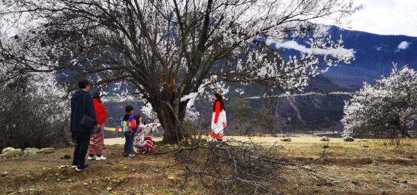 ??????? ???? ????? ????? ??? ???? ?????