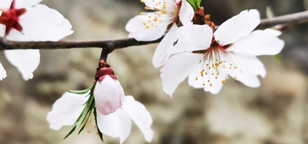 ??????? ???? ????? ????? ??? ???? ?????