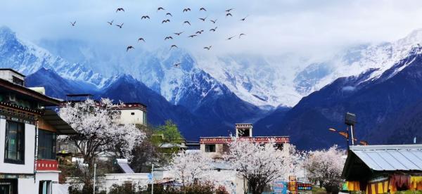 ??????? ???? ????? ????? ??? ???? ?????