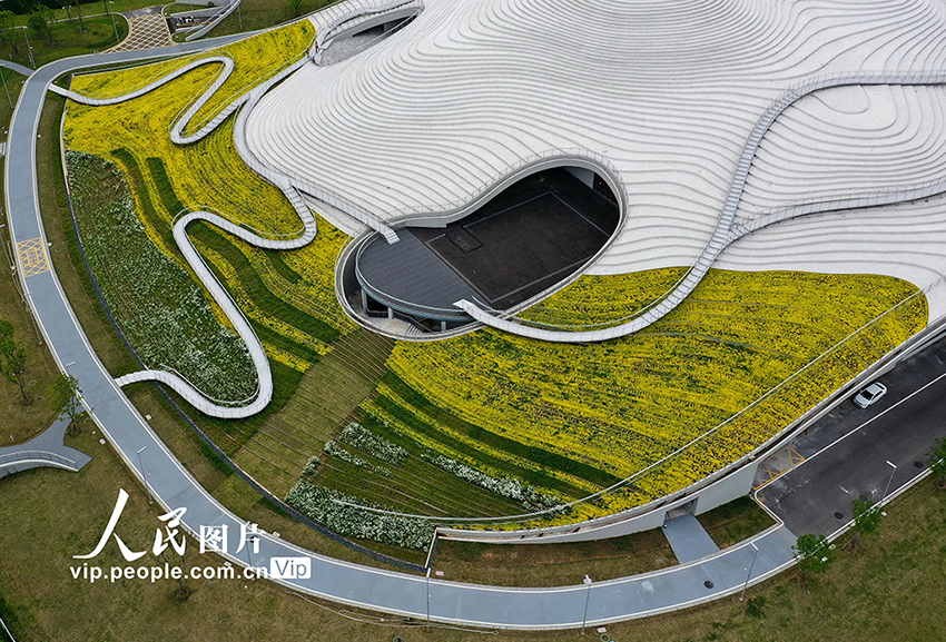 ????? ????? ??????? ???? ???? ?????? ??? ????? 43 ??? ??? ????