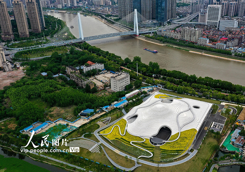 ????? ????? ??????? ???? ???? ?????? ??? ????? 43 ??? ??? ????