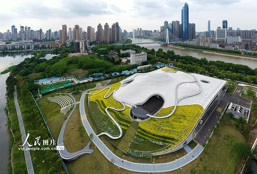 ????? ????? ??????? ???? ???? ?????? ??? ????? 43 ??? ??? ????