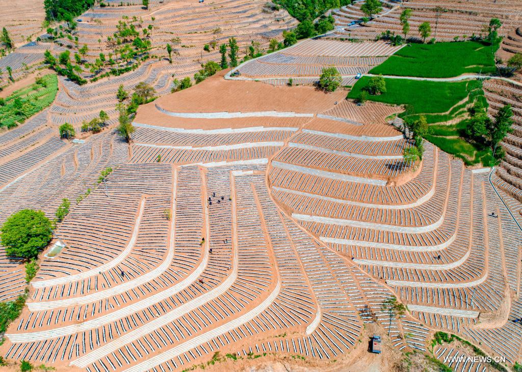 ???? ????? ?? ?????? ???? ???????