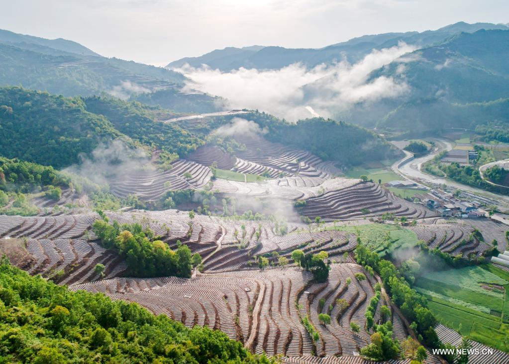 ???? ????? ?? ?????? ???? ???????