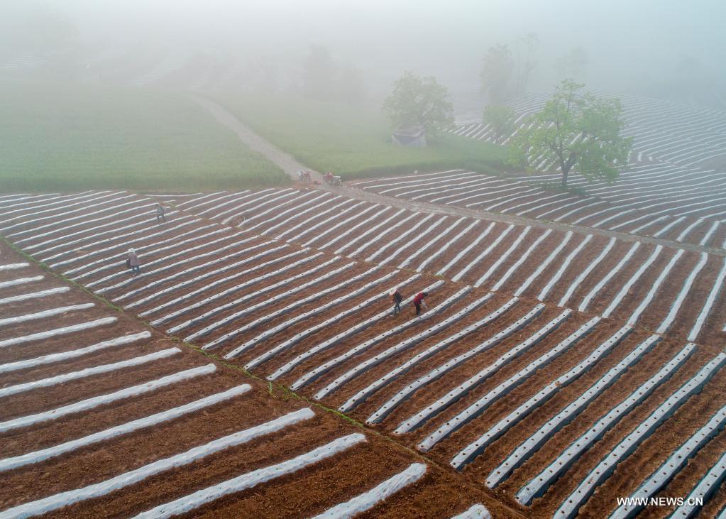 ???? ????? ?? ?????? ???? ???????