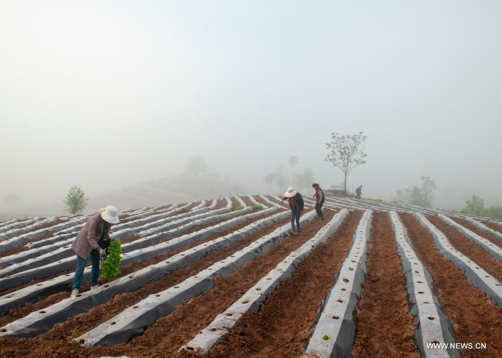 ???? ????? ?? ?????? ???? ???????