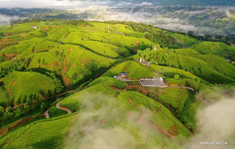 ??? ????? ????? ?????? ?????? ?? ??? ??????