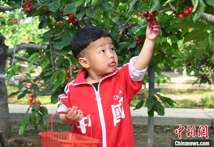 ????? ???? 160 ????? ???? ?????? ????? ???? ???? ??? ??????