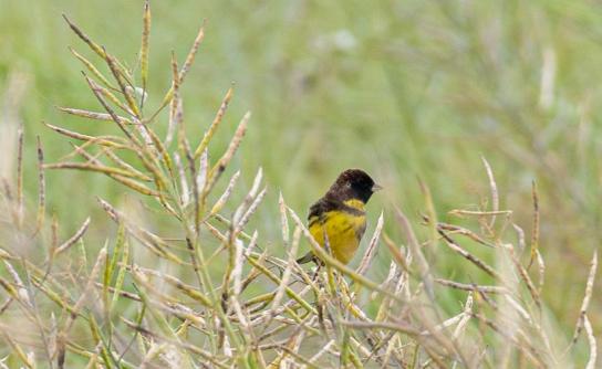 ??? ???? ?? ?????? ??????? ?? ????? ?????? ?? ???? ?????