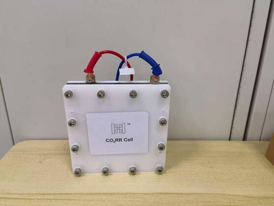 ????? ???? ???????? ?????? ?? ??????? ????????? ??????? ??????