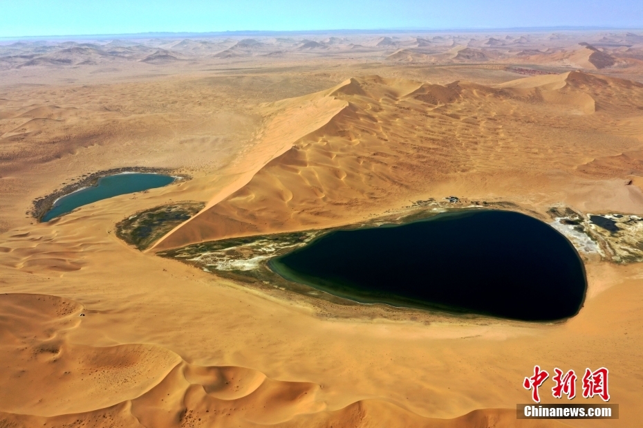 ?????? ??????? ???????? ??????? ??????? ???? ????? ????? ????