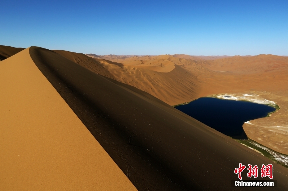 ?????? ??????? ???????? ??????? ??????? ???? ????? ????? ????