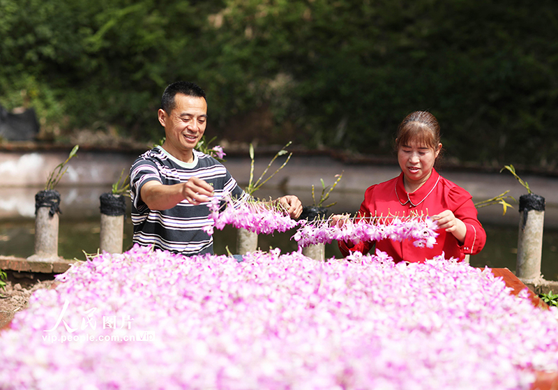 ??????? ??????: ???? ??? ???? ???????????