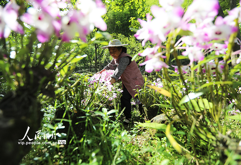 ??????? ??????: ???? ??? ???? ???????????