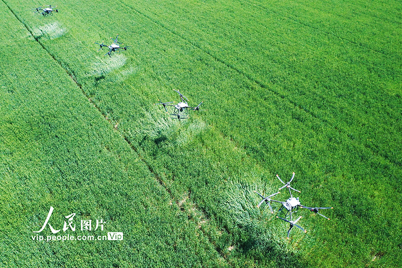 ?????? ?????? ?????? ????????? ??????? ??????? ???? ??????