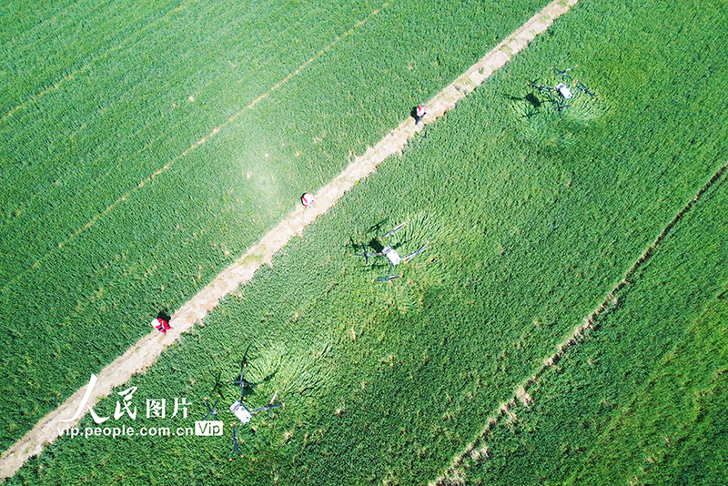 ?????? ?????? ?????? ????????? ??????? ??????? ???? ??????