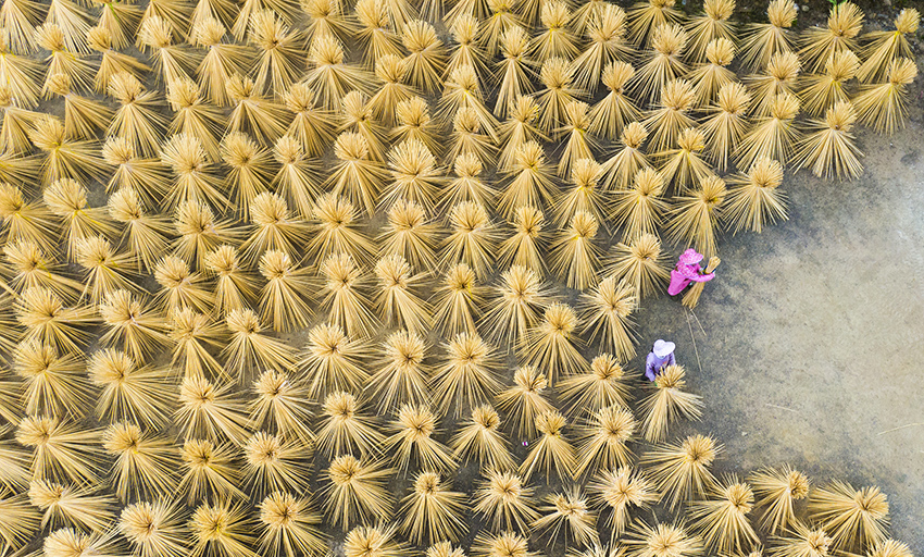 ???????? ???????: ?????? ?????? ???????? ???? ????? ?????