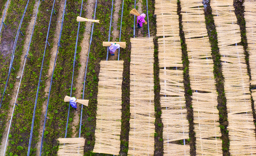 ???????? ???????: ?????? ?????? ???????? ???? ????? ?????