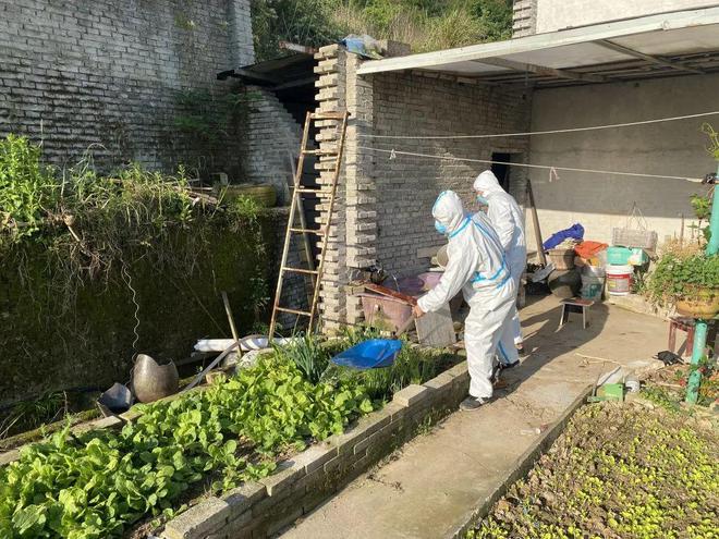 ????????? ???????: ???? ??????? ?? ??????? ????? ??? ??????? ???????  ???? ????? ??? ????? ?????