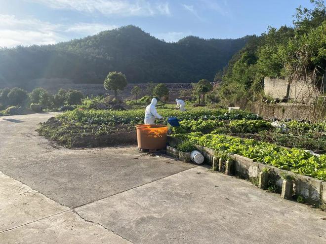 ????????? ???????: ???? ??????? ?? ??????? ????? ??? ??????? ???????  ???? ????? ??? ????? ?????