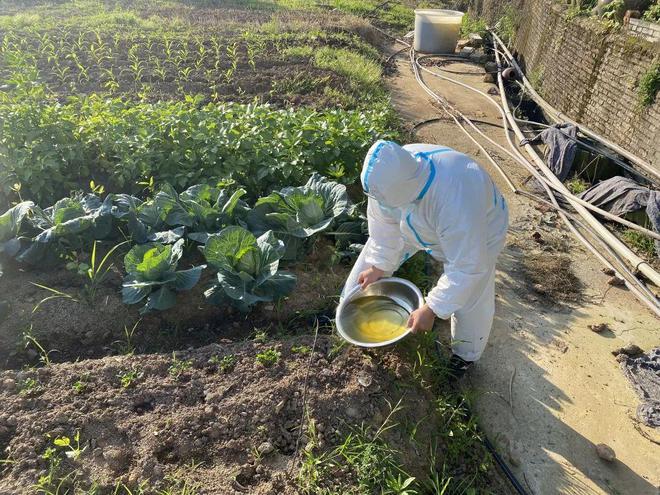 ????????? ???????: ???? ??????? ?? ??????? ????? ??? ??????? ???????  ???? ????? ??? ????? ?????