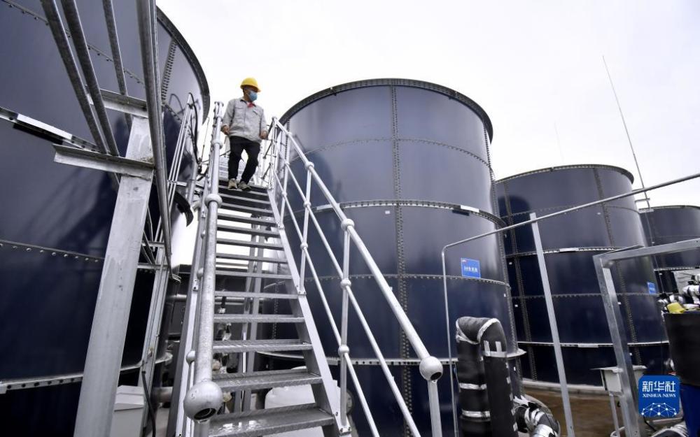 ????: ???? ??? ???? ???????? ?????? ???????