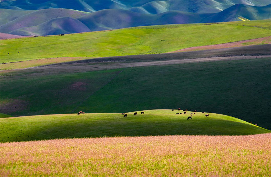 ?????? ??????? ?? ???? ?????? ?????????