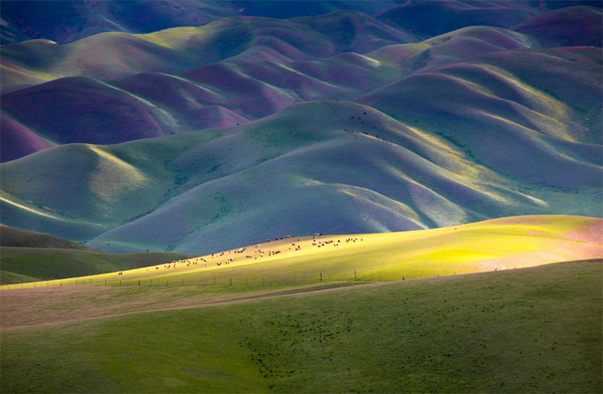 ?????? ??????? ?? ???? ?????? ?????????