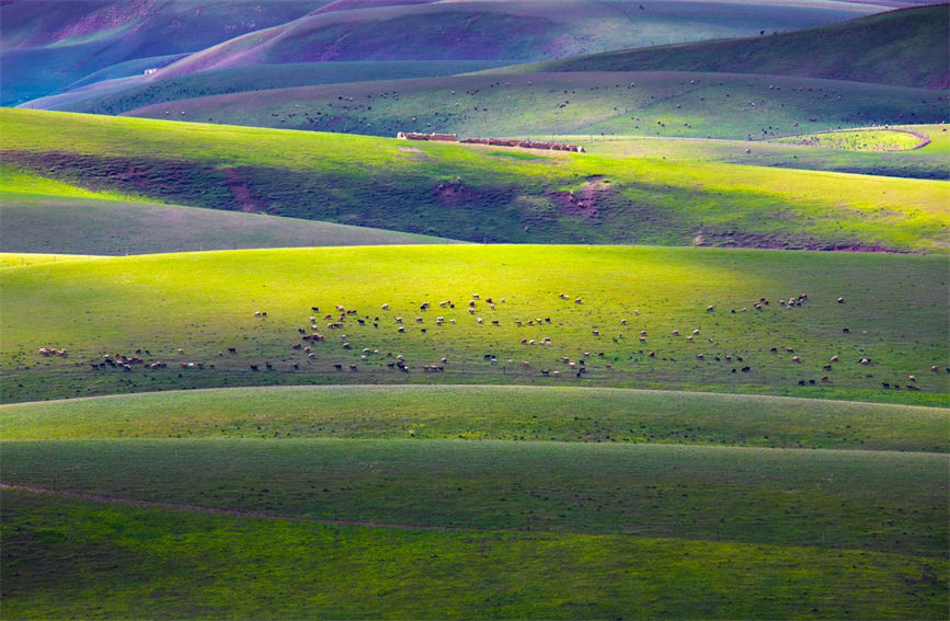 ?????? ??????? ?? ???? ?????? ?????????