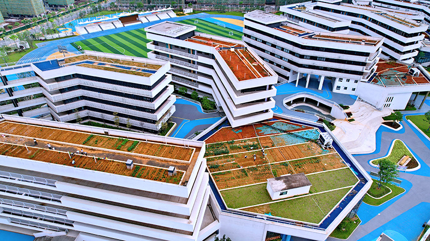 ????? ???????? ???? ?????? ??????? ???????? ??? ??? ???????