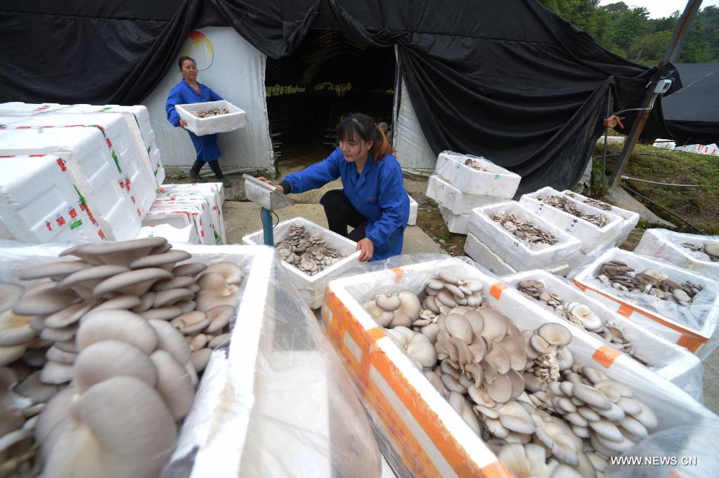 ???? ????? ?????? ???? ?????? ?????? ?? ???? ???? ?????