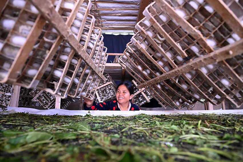 ????? ???? ???? ?? ??????? ???? ?? ??? ????????