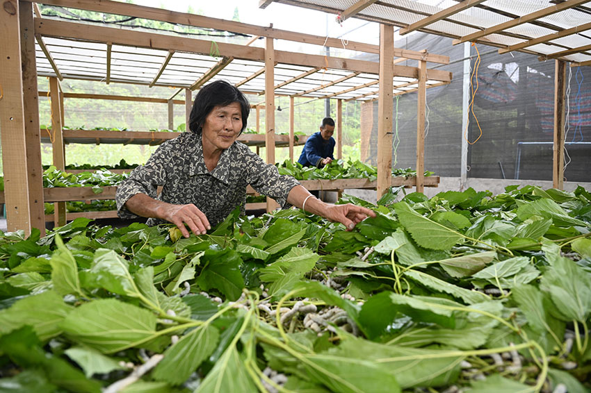 ????? ???? ???? ?? ??????? ???? ?? ??? ????????